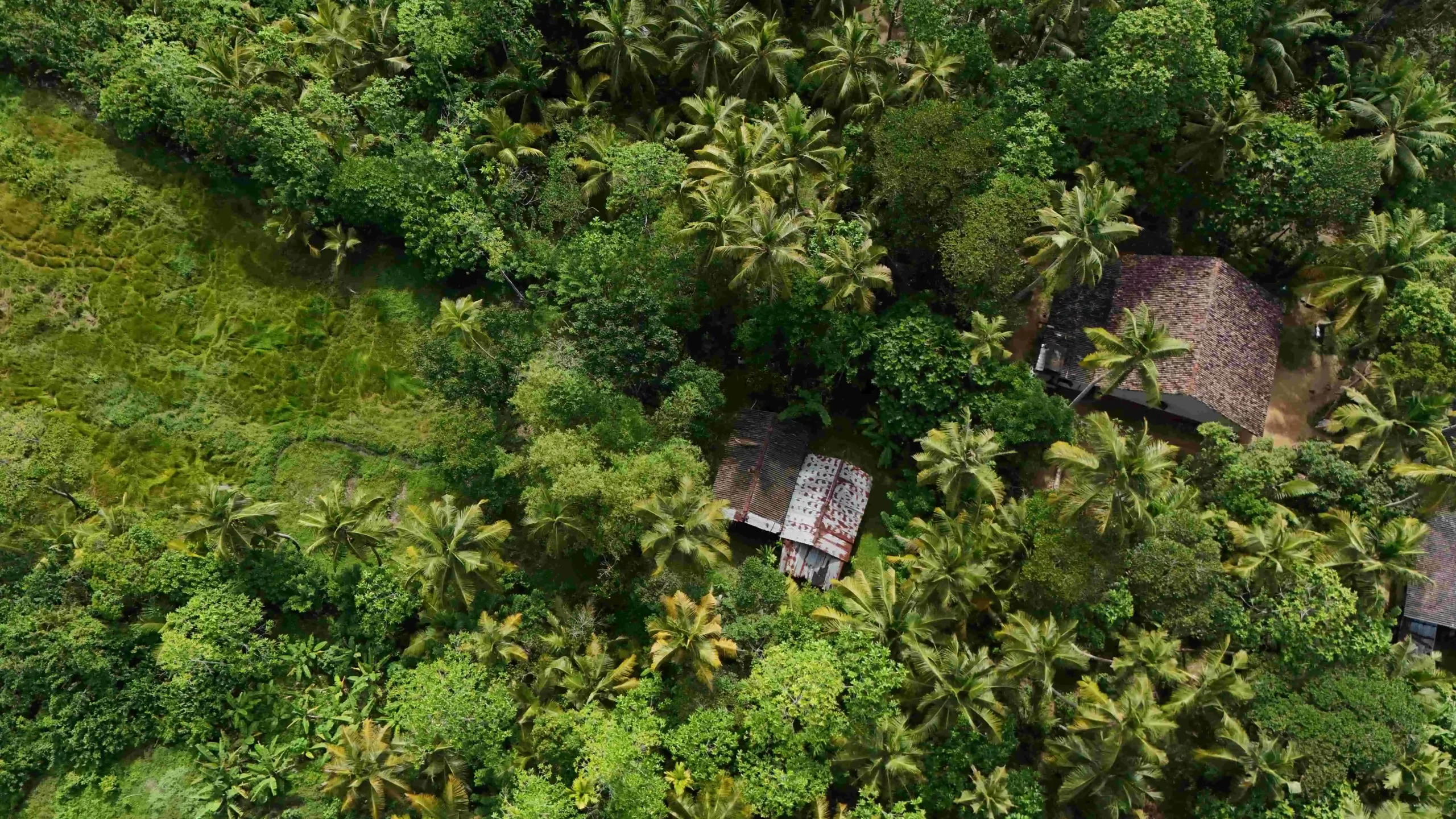 Gonnagahahena image 3