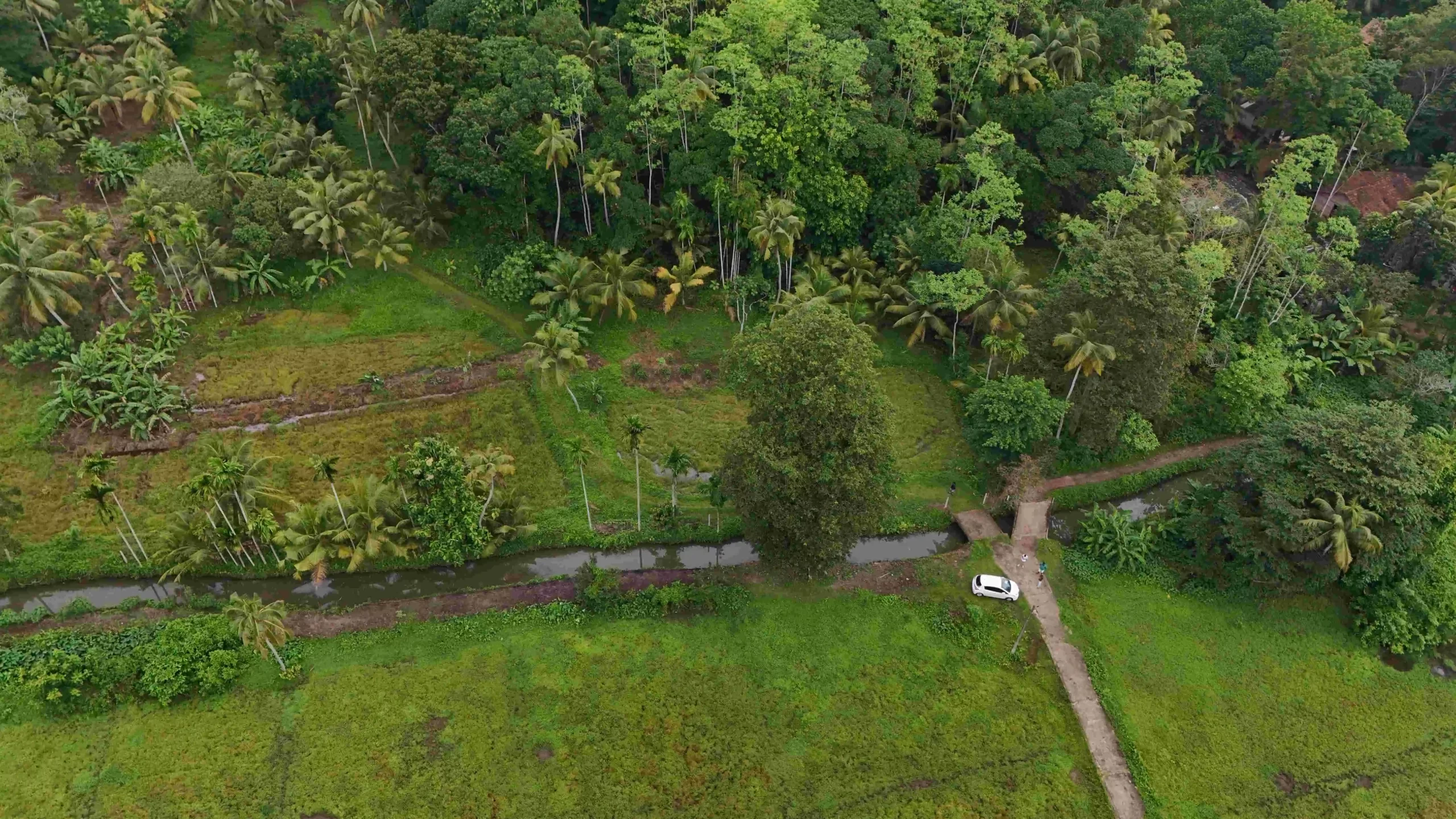 Gonnagahahena image 3