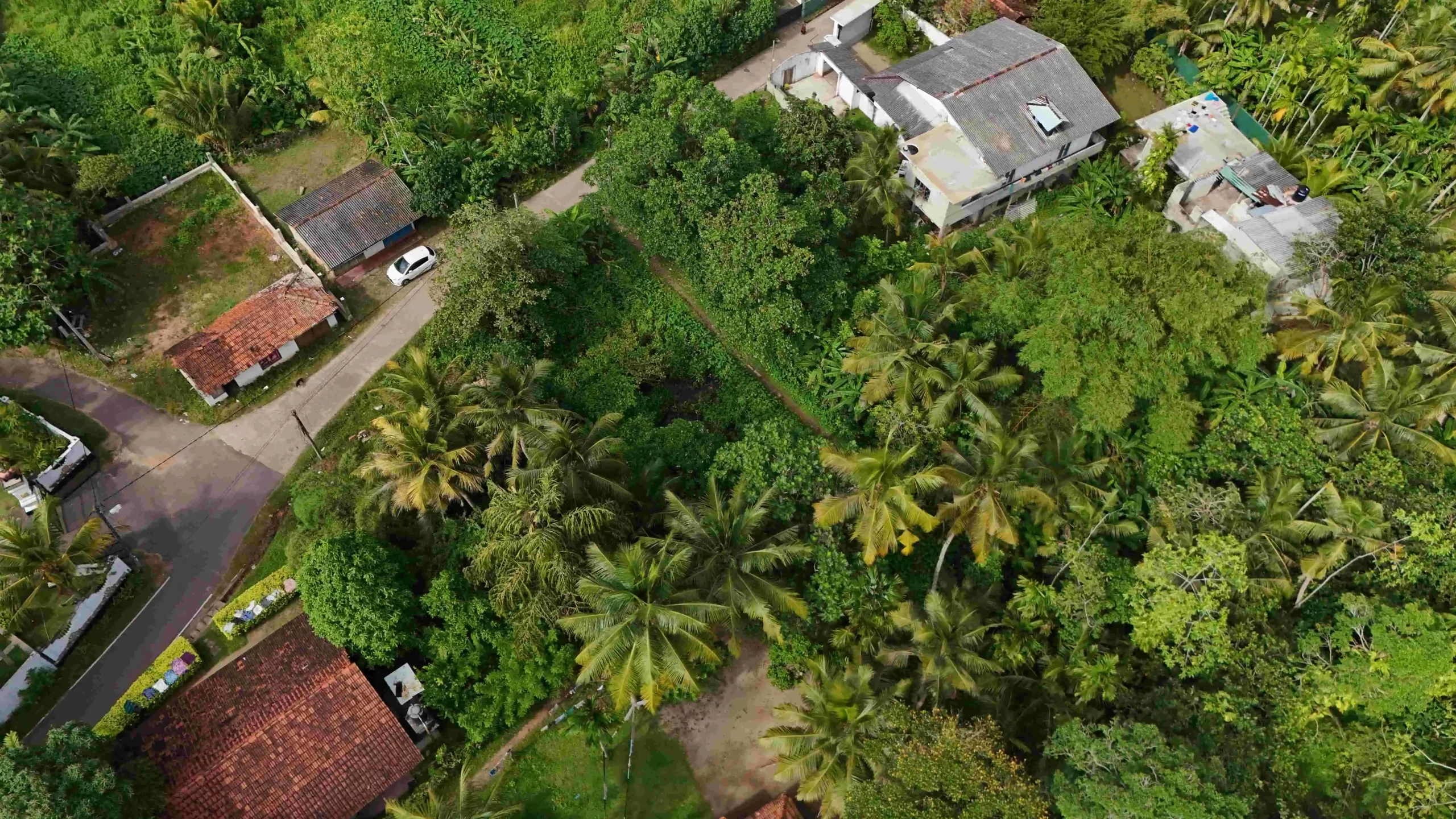 Gonnagahahena image 2