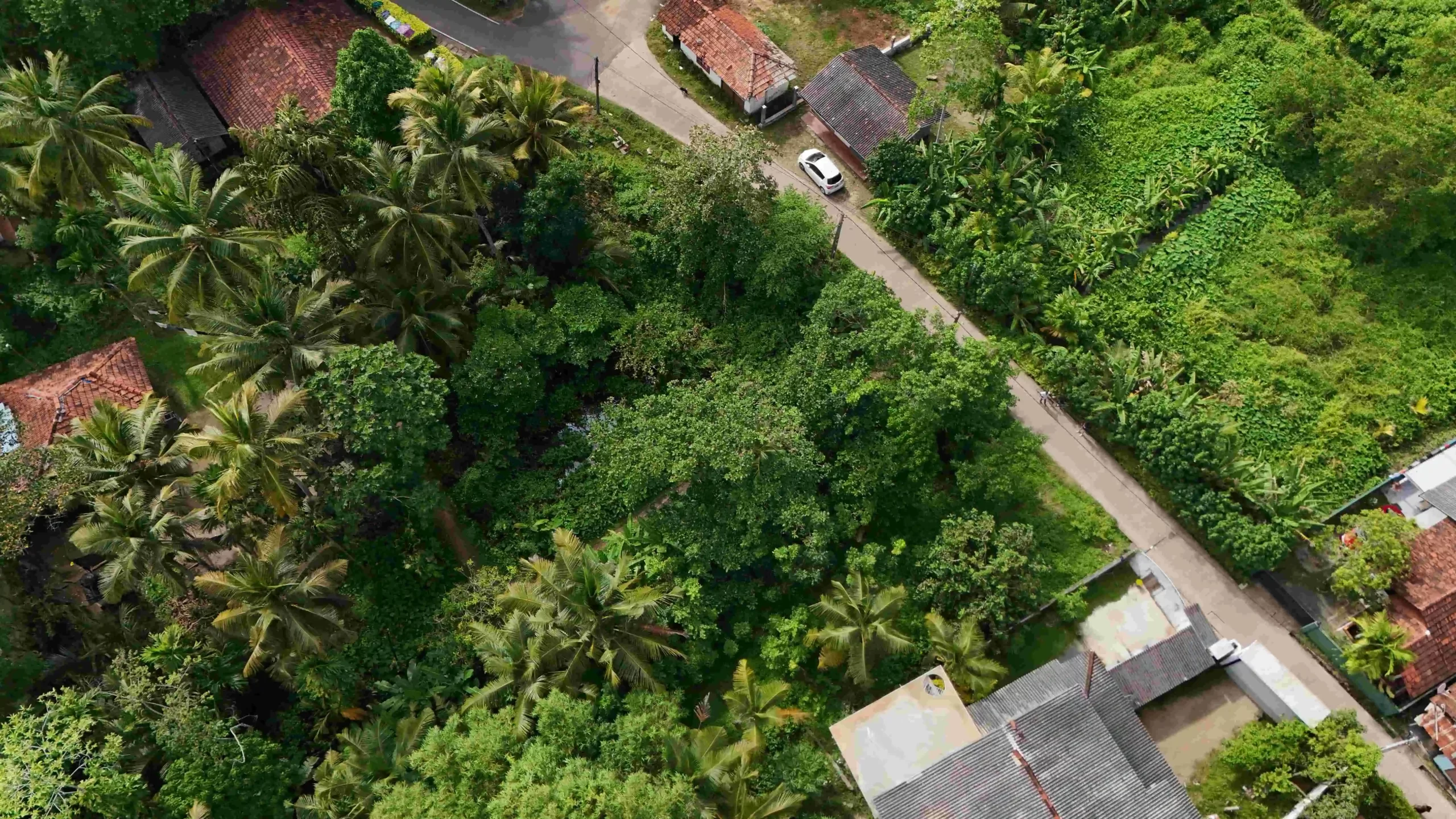 Gonnagahahena image 3