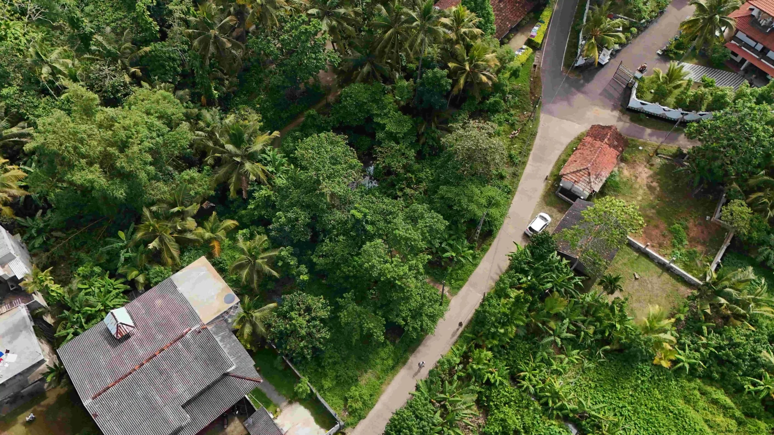 Gonnagahahena image 4