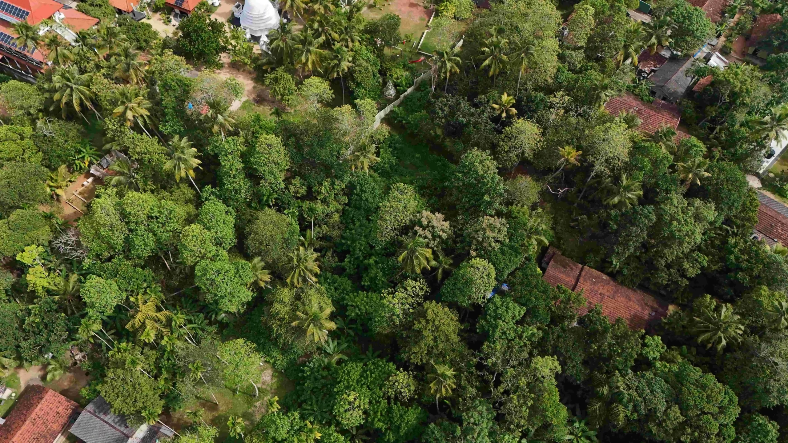 Gonnagahahena image 3