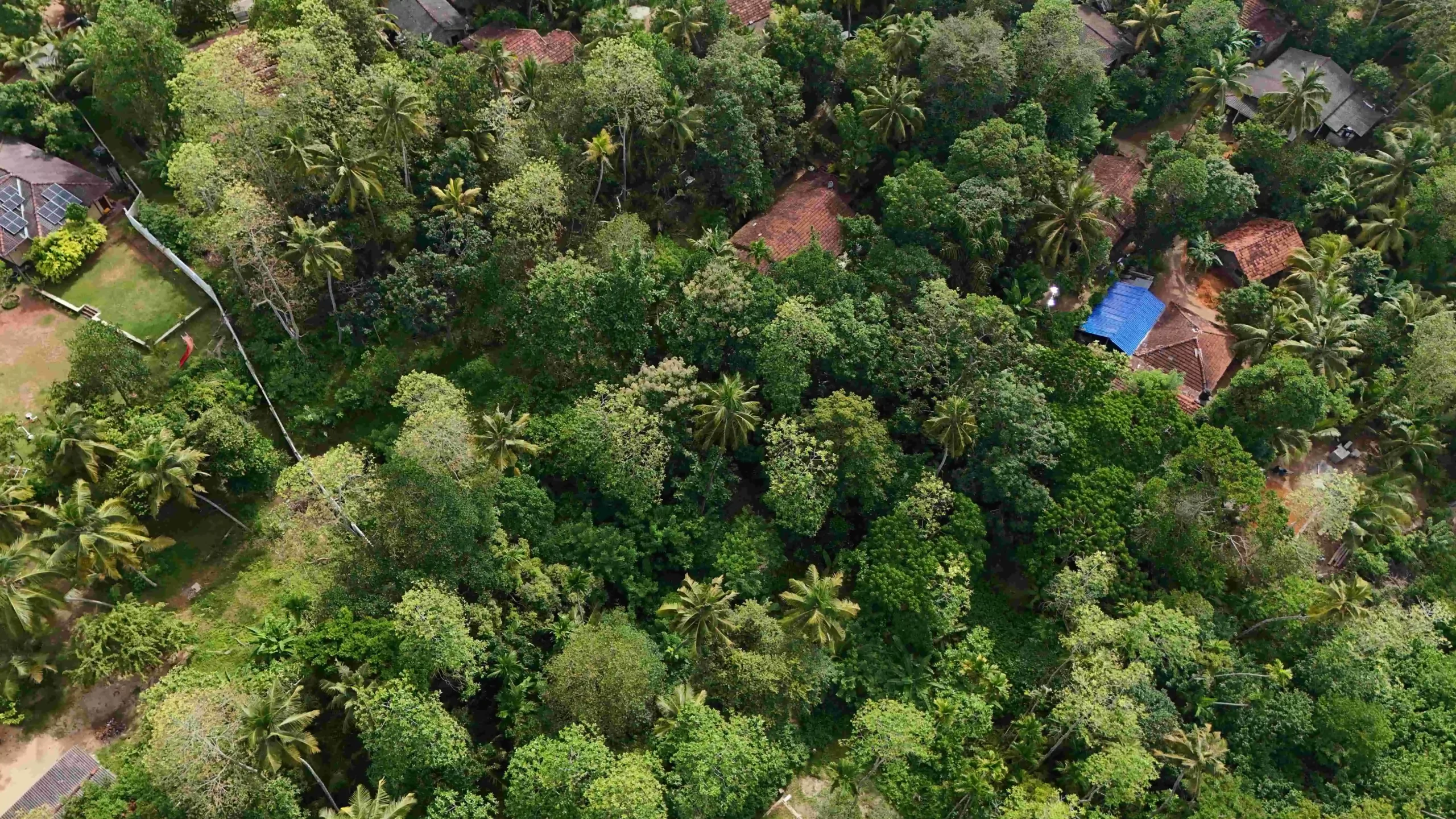 Gonnagahahena image 4