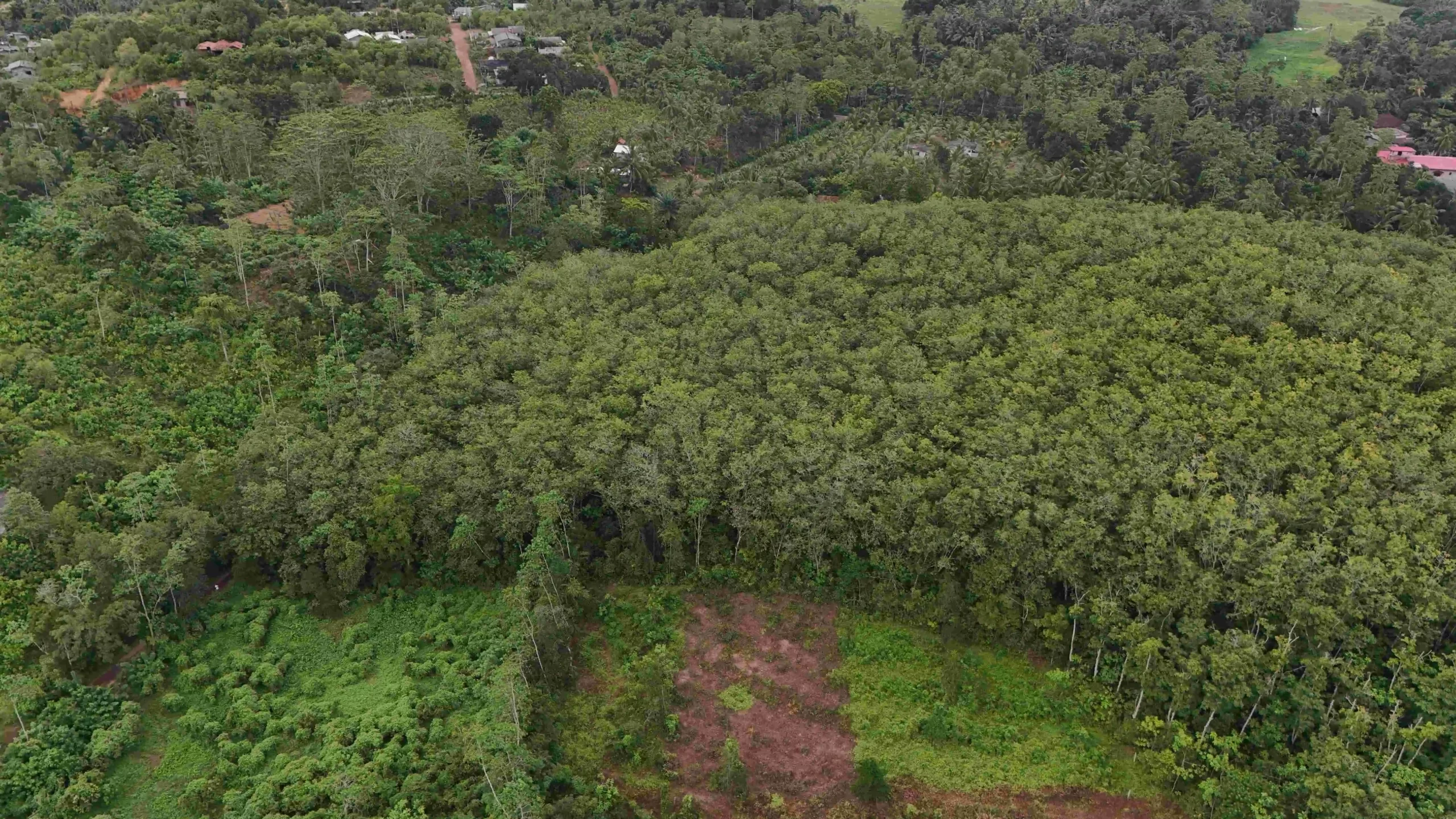 Ibbawala, Ahangama image 4