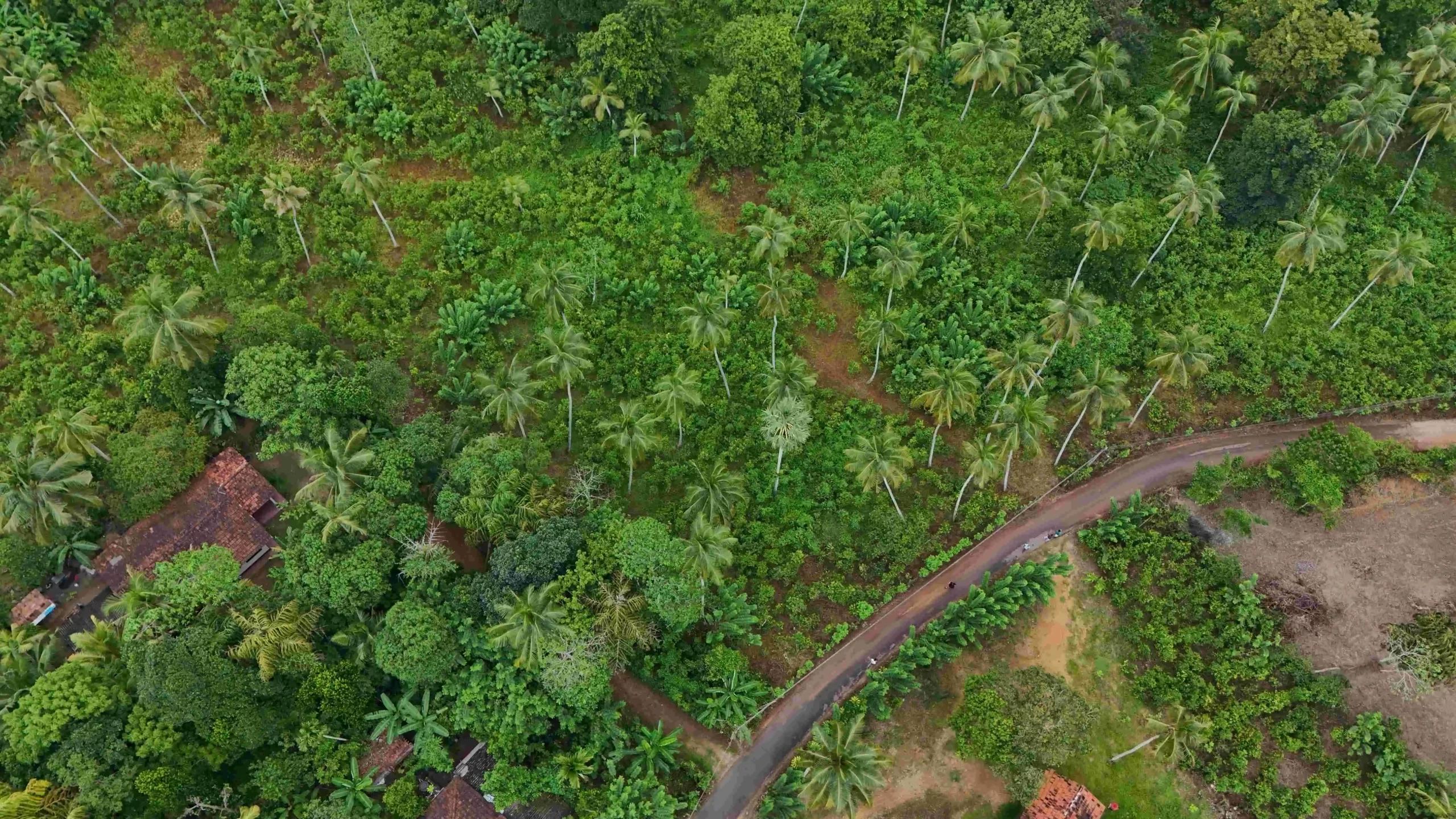 Ibbawala, Ahangama image 2