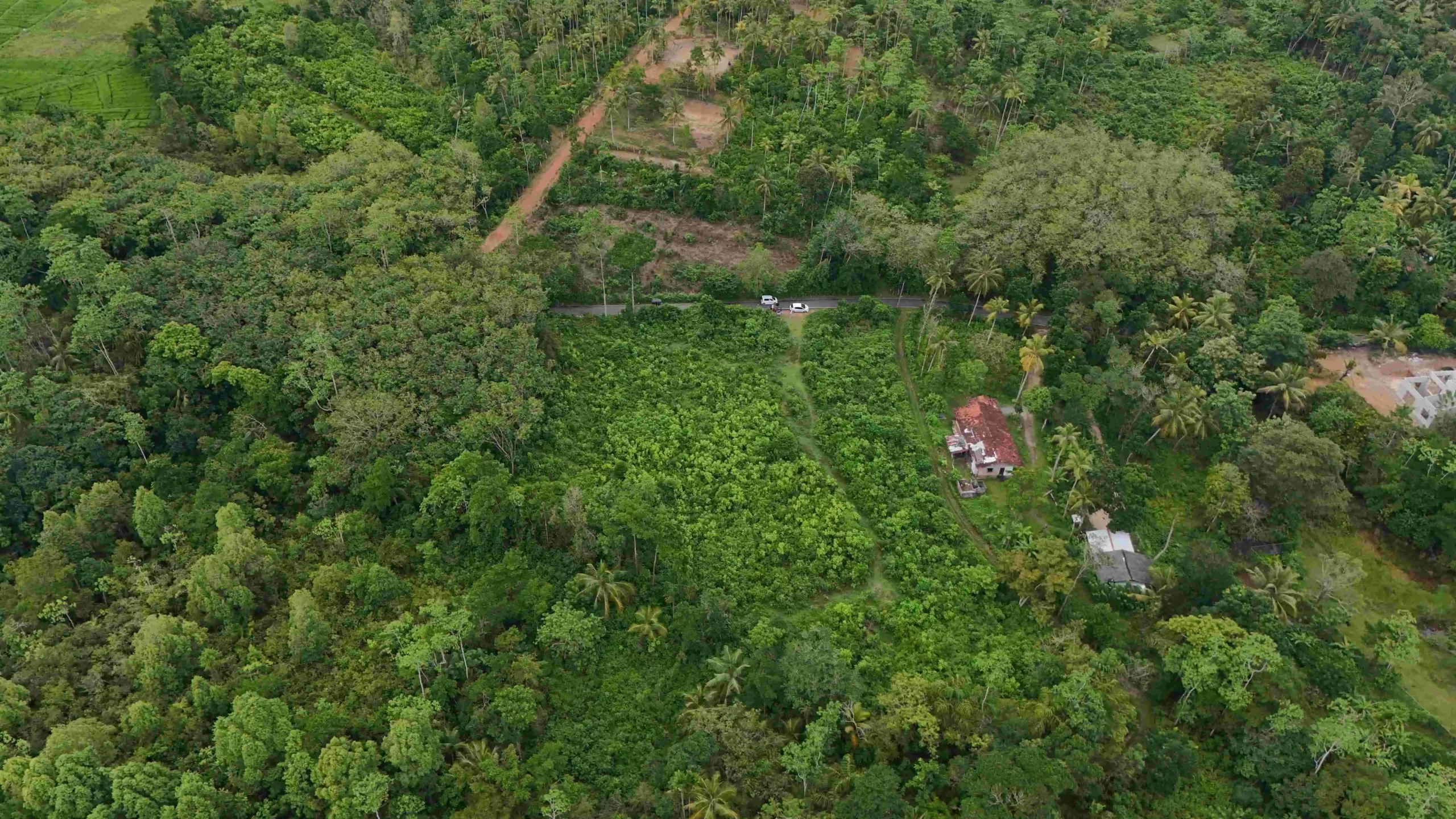 Gonnagahahena image 4