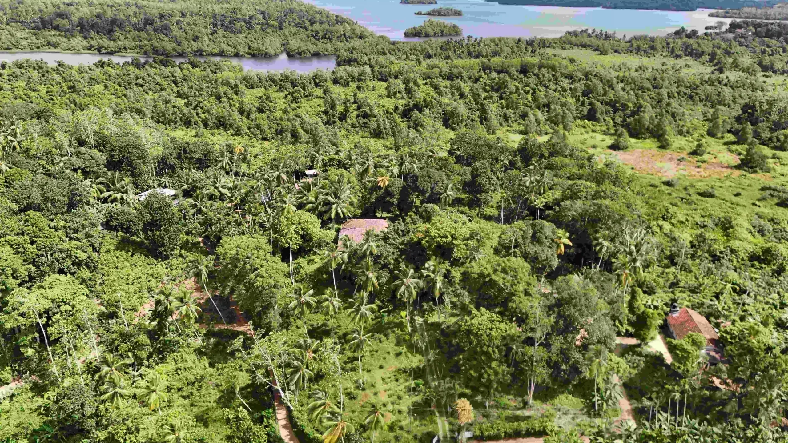 Gonnagahahena image 4