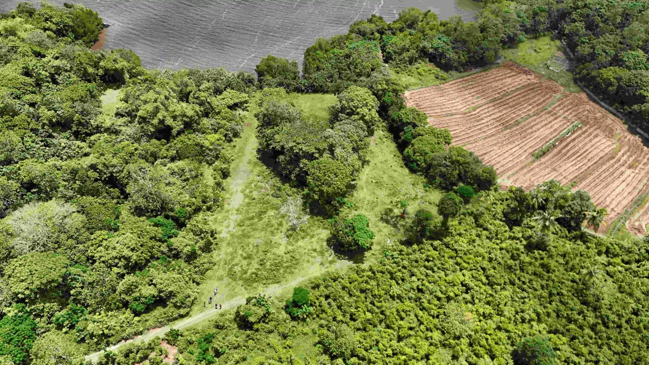 Gonnagahahena image 2