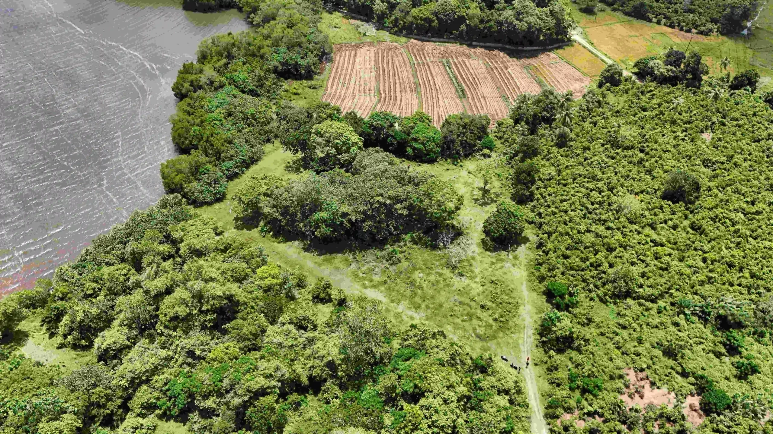 Gonnagahahena image 3