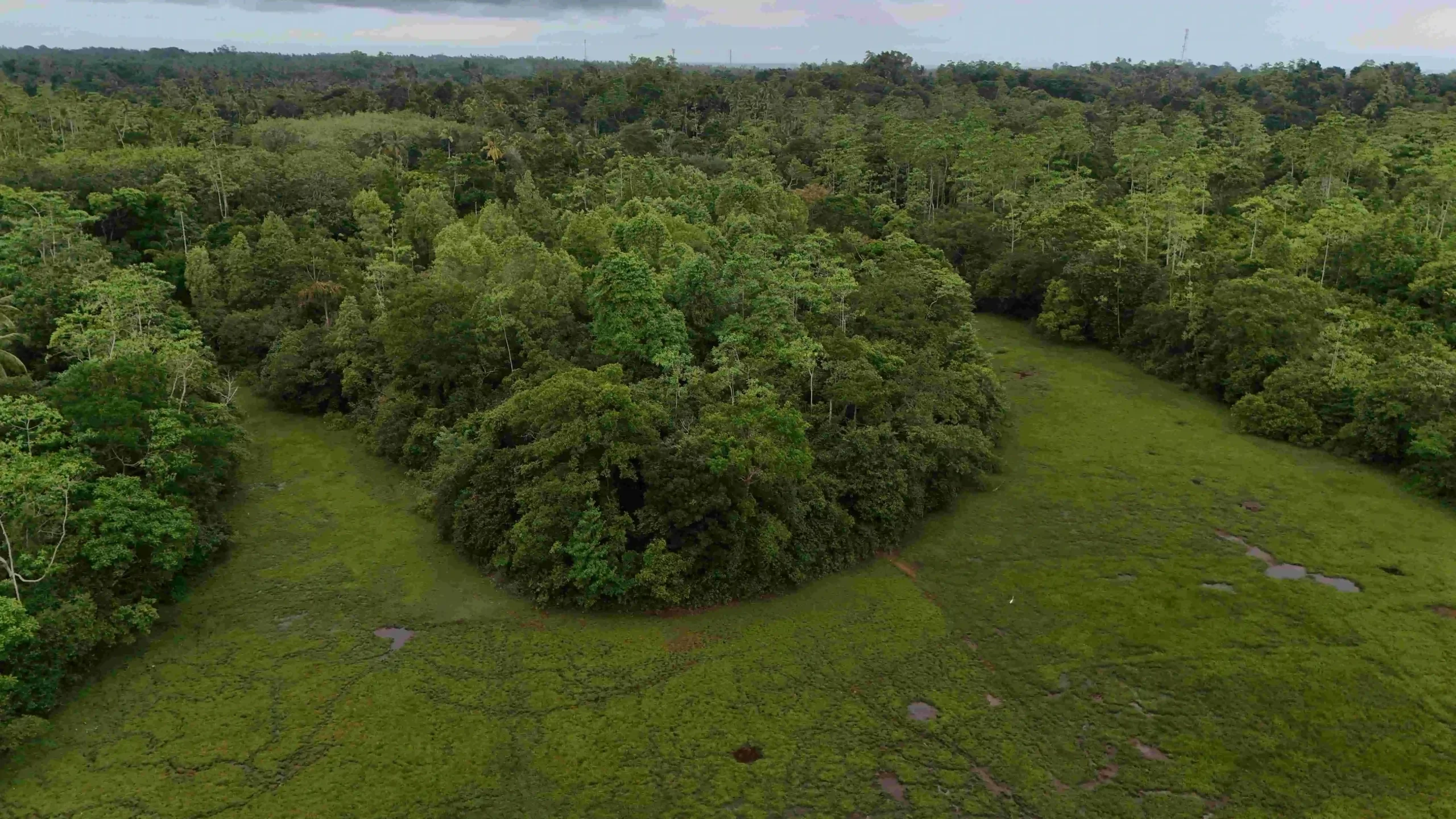 Gonnagahahena image 3