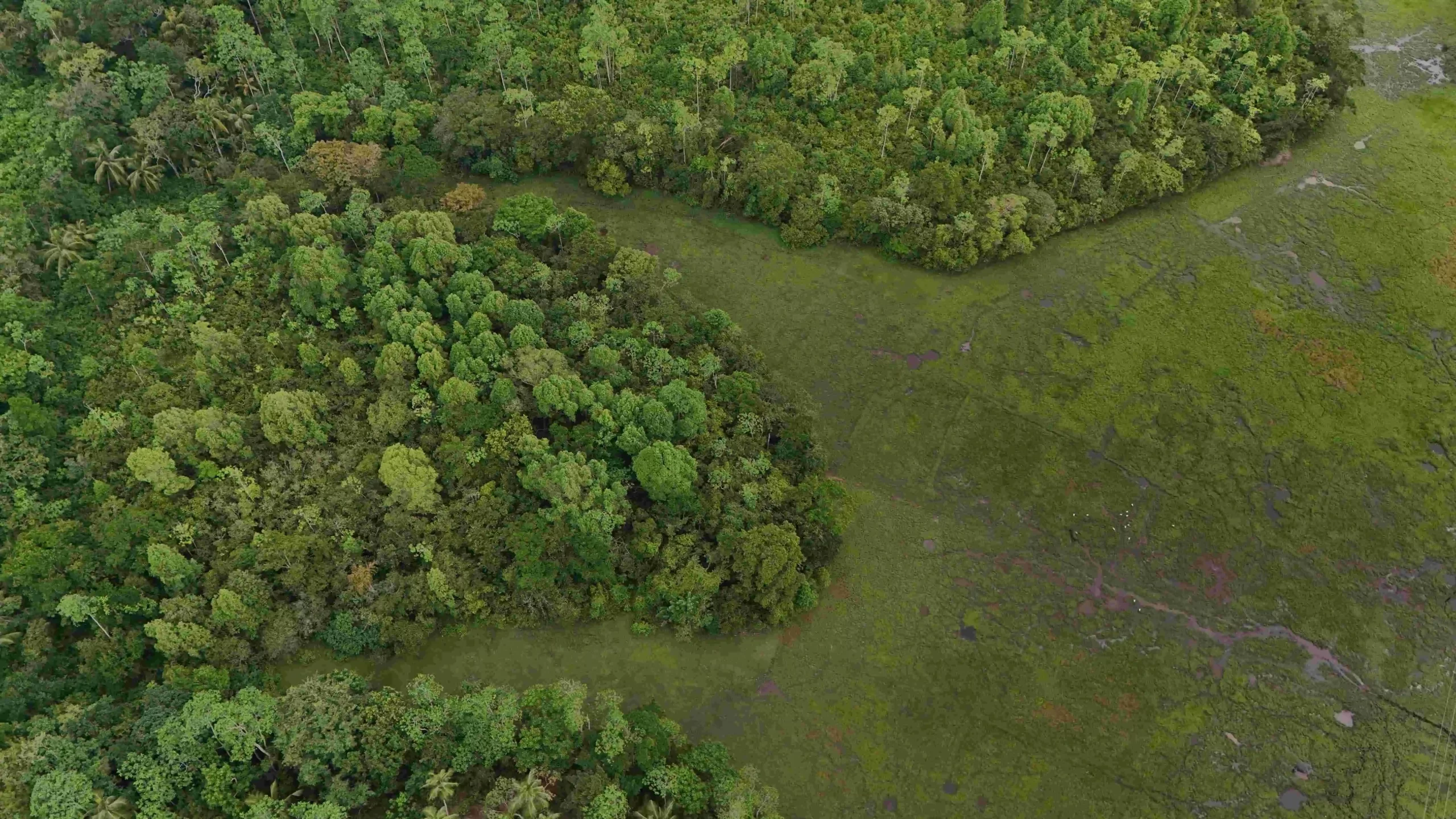 Gonnagahahena image 4