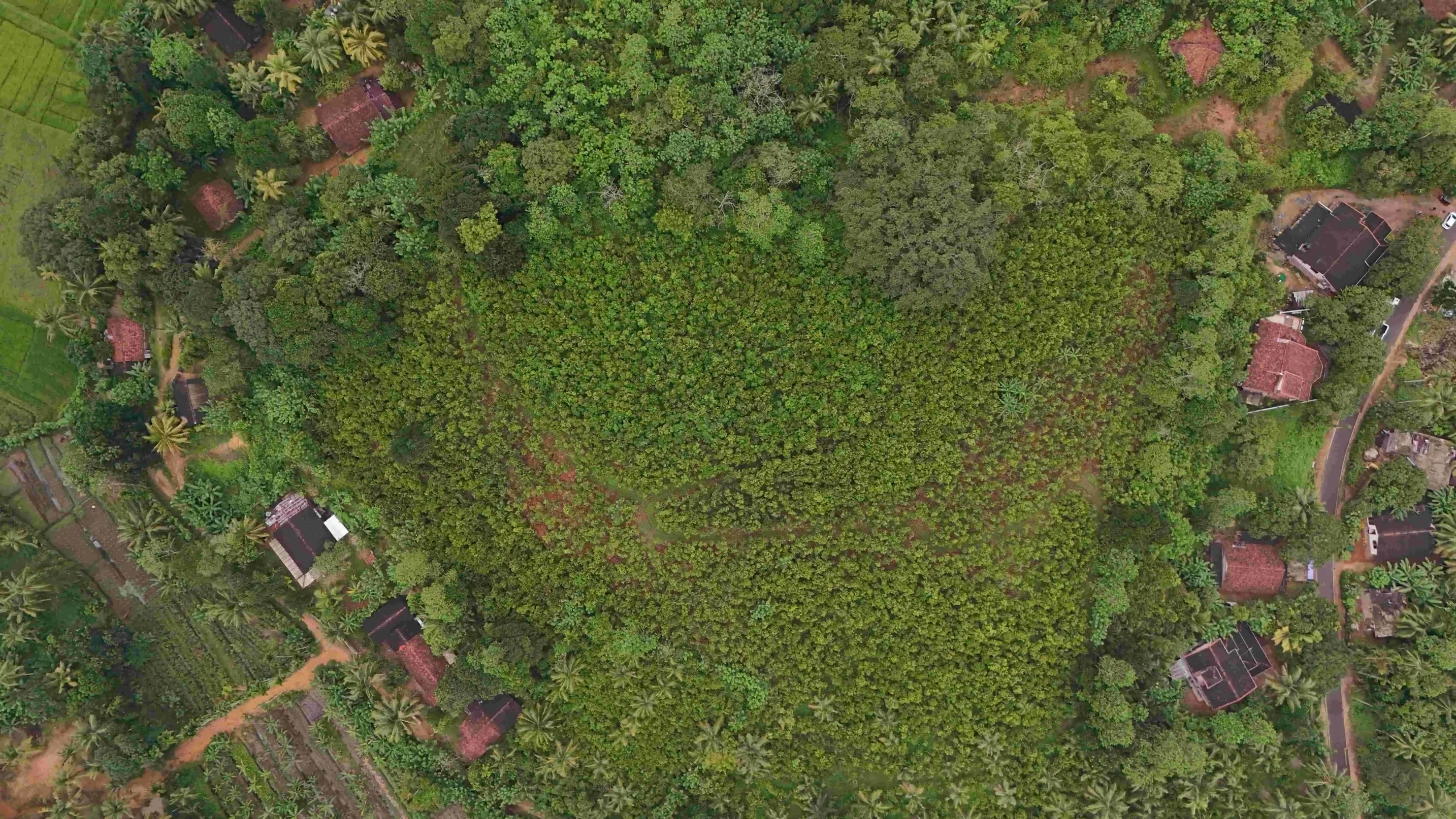 Gonnagahahena image 4