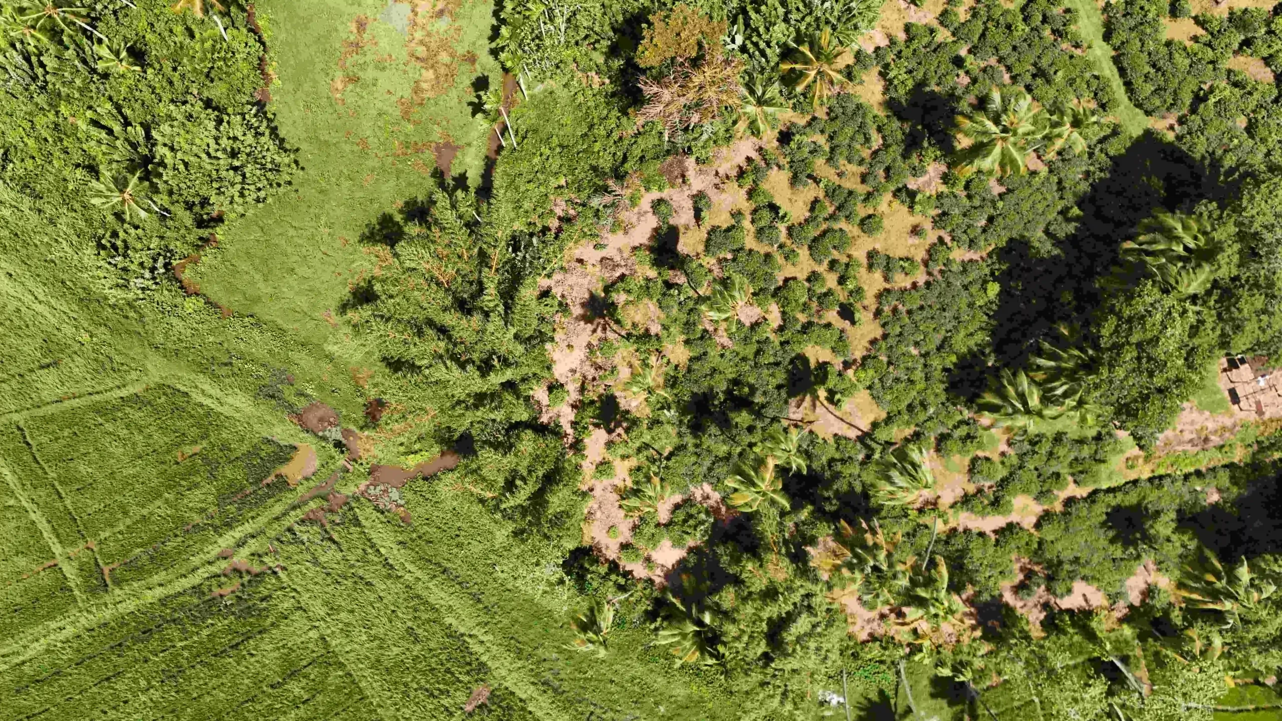 Gonnagahahena image 2