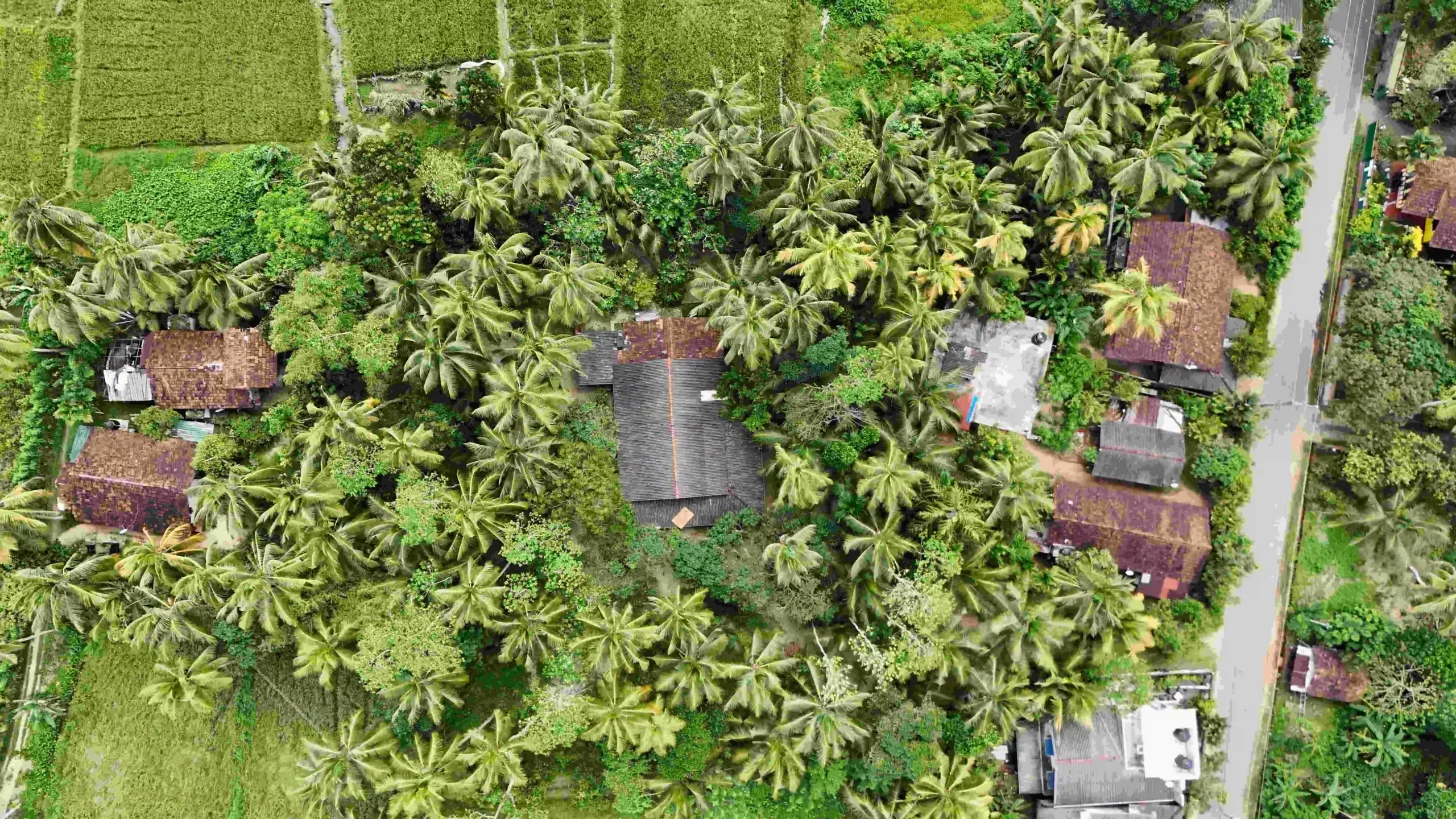 Gonnagahahena image 3