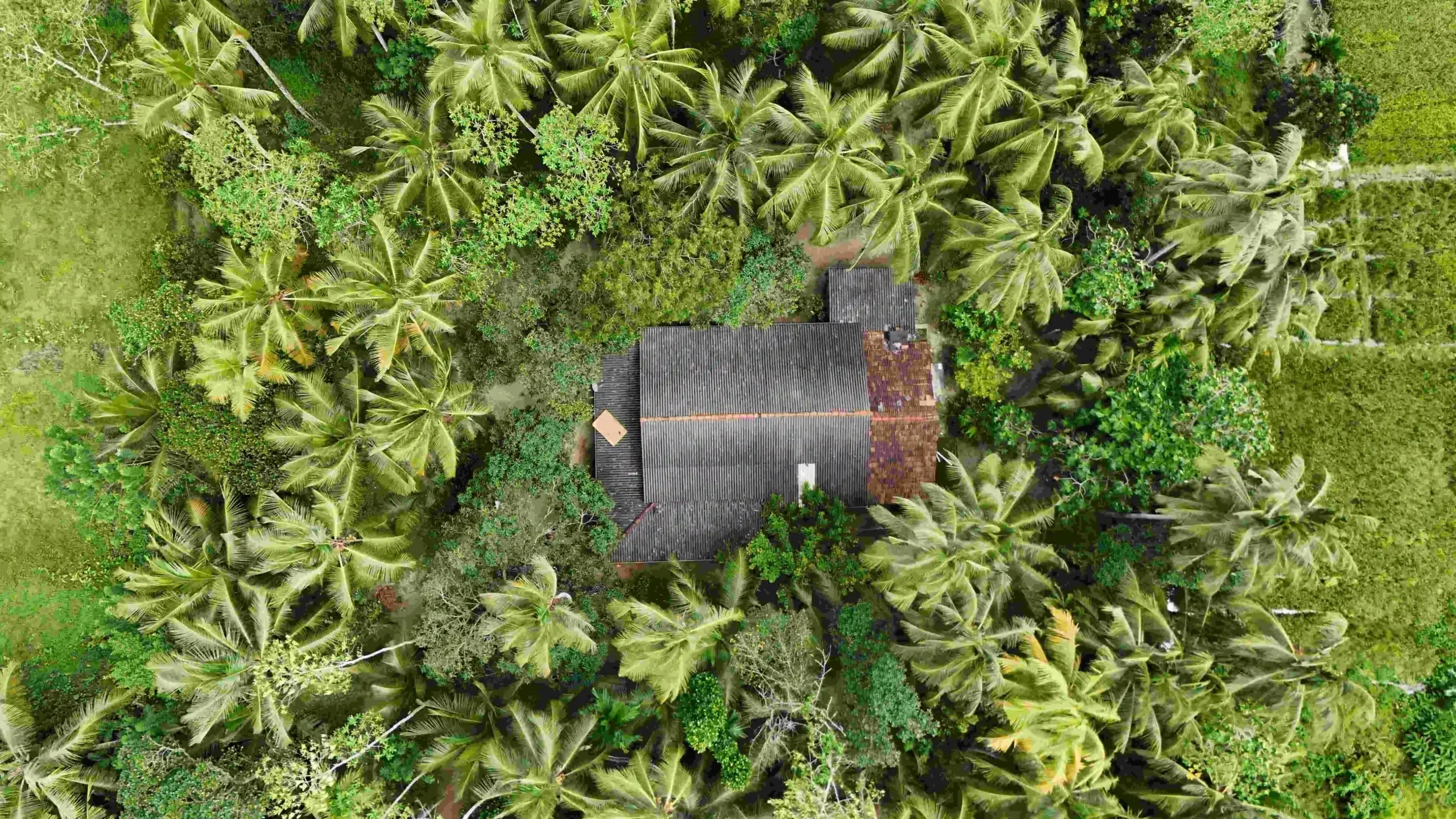 Gonnagahahena image 4