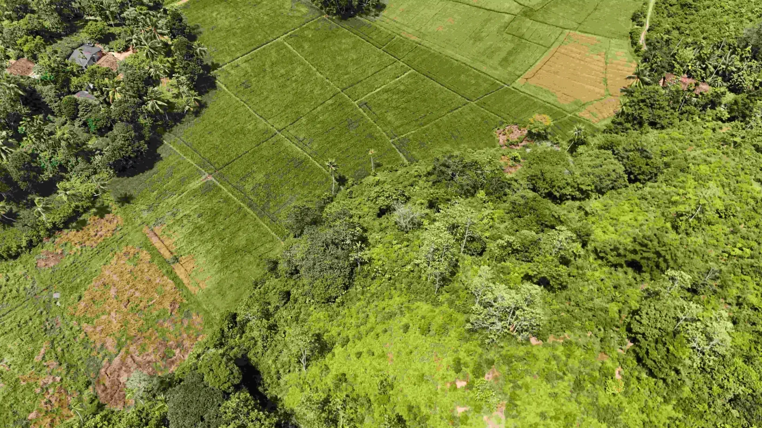 Gonnagahahena image 2