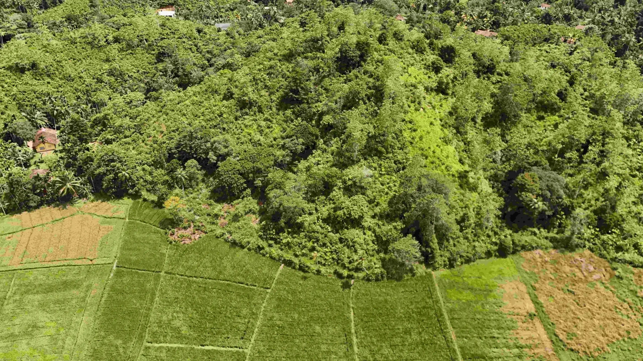 Gonnagahahena image 4