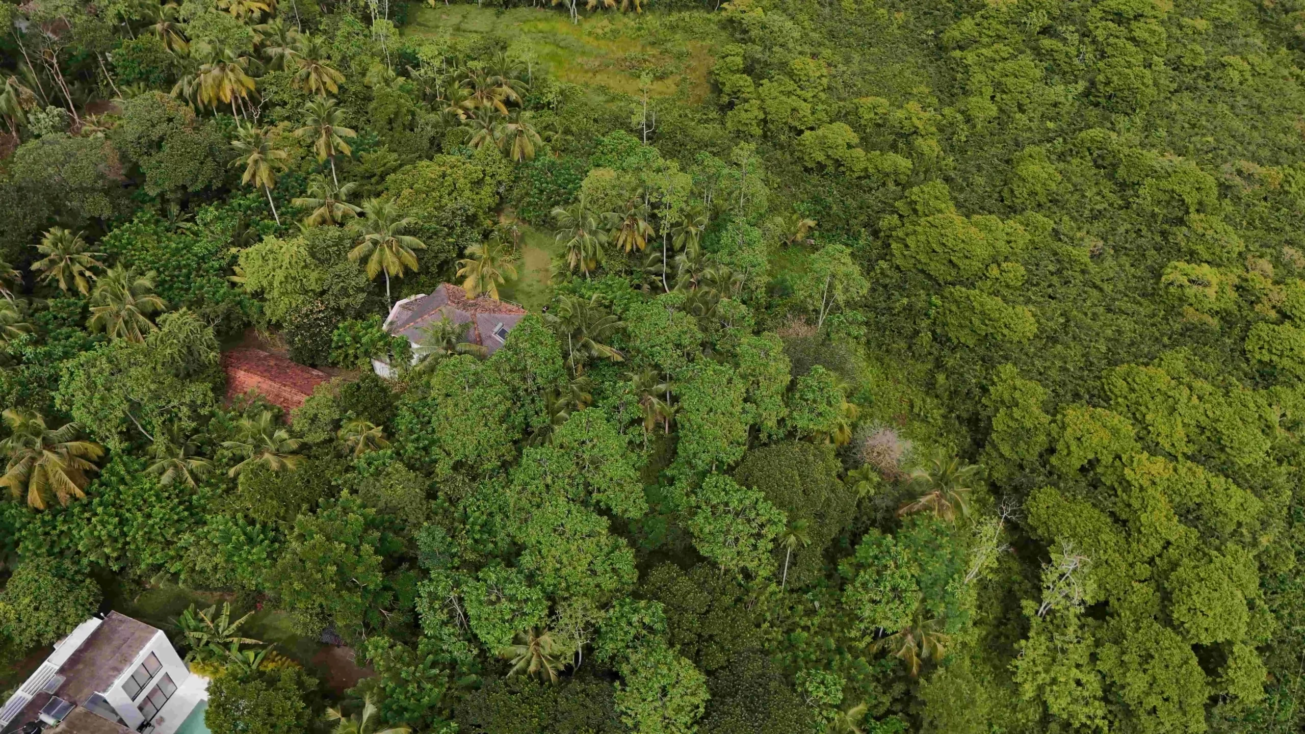 Gonnagahahena image 3