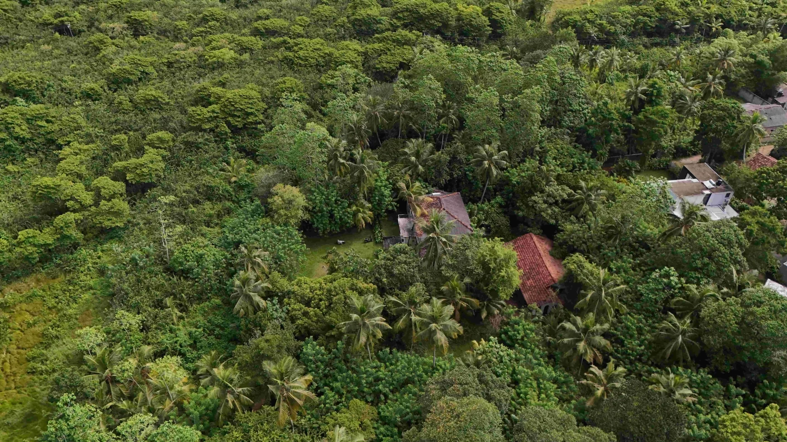 Gonnagahahena image 4